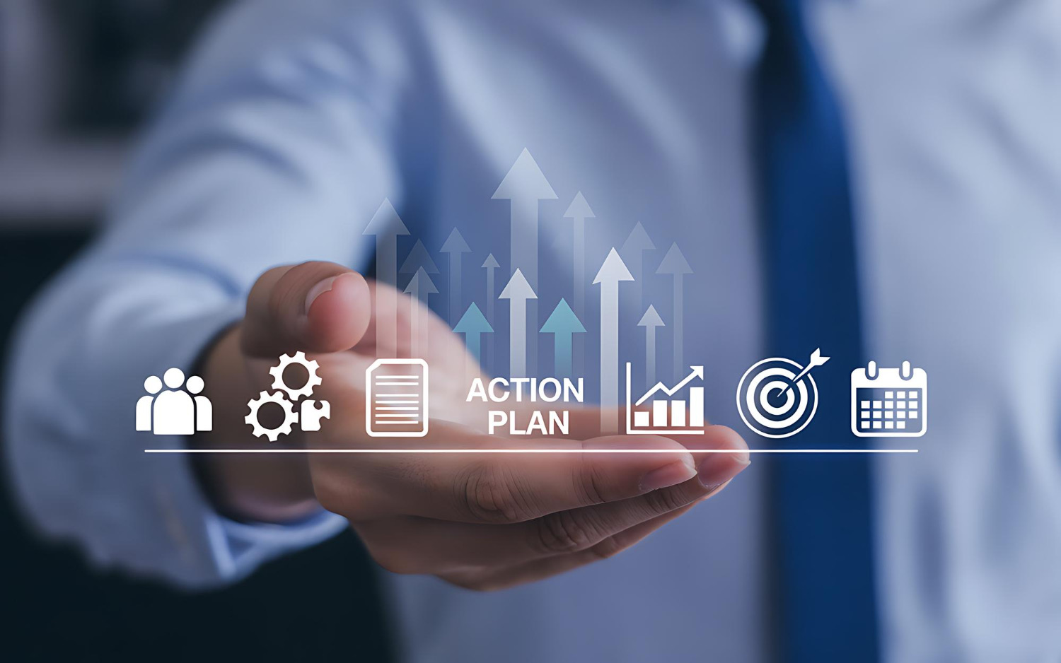 Plan & Strategy